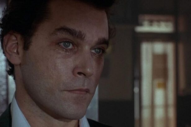 ray-liotta-in-goodfellas-goove