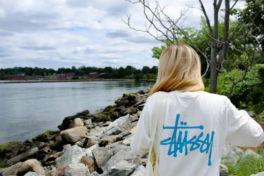 stussy-goove