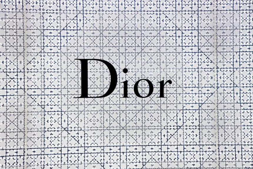 dior-goove